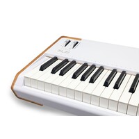 Arturia AstroLab 88