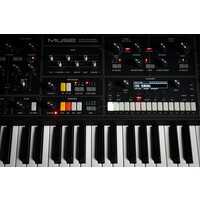 Moog Muse