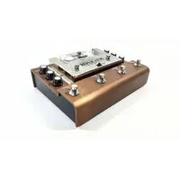 T-rex Engineering - Replicator Tape Echo