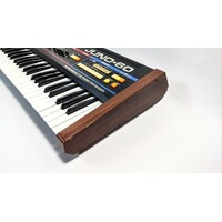 Roland Juno 60 + Tubbutec