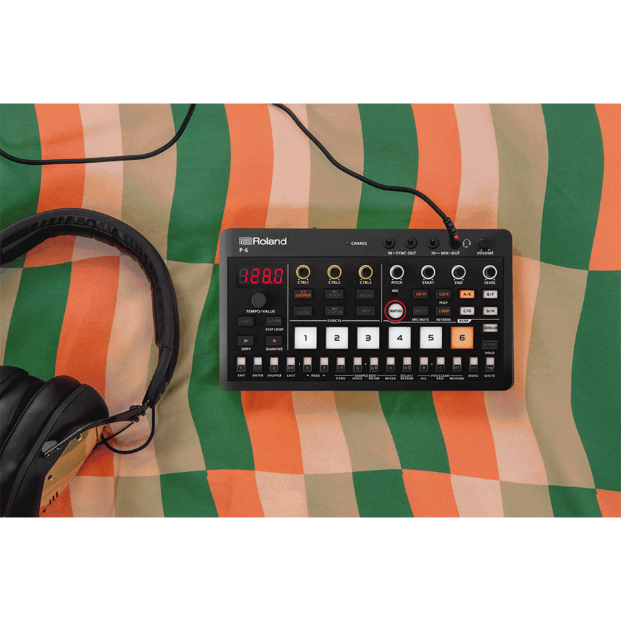 ROLAND P-6