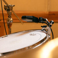 Lauten Audio Rim Mount