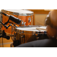 Lauten Audio Rim Mount