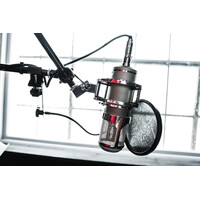 Lauten Audio Eden LT-386