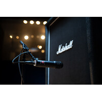 Lauten Audio LS-208