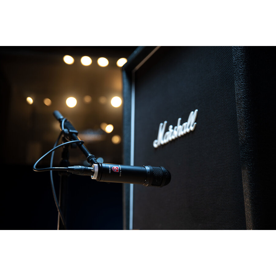 Lauten Audio LS-208