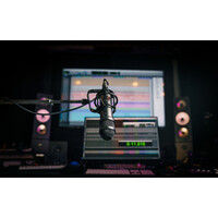 Lauten Audio LS-208