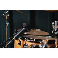 Lauten Audio LS-308