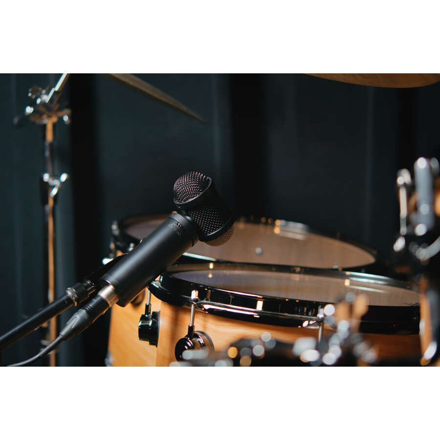 Lauten Audio LS-308