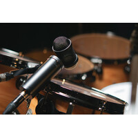 Lauten Audio LS-308
