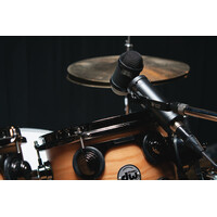 Lauten Audio LS-308