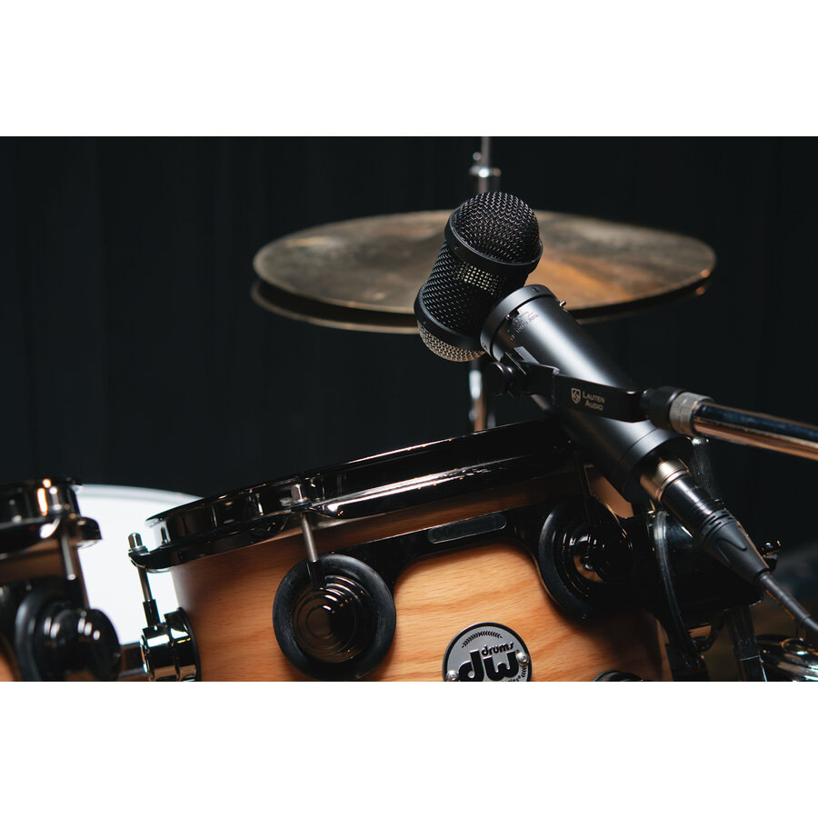 Lauten Audio LS-308
