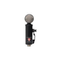 Lauten Audio LS-308