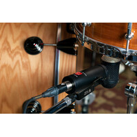 Lauten Audio LS-308