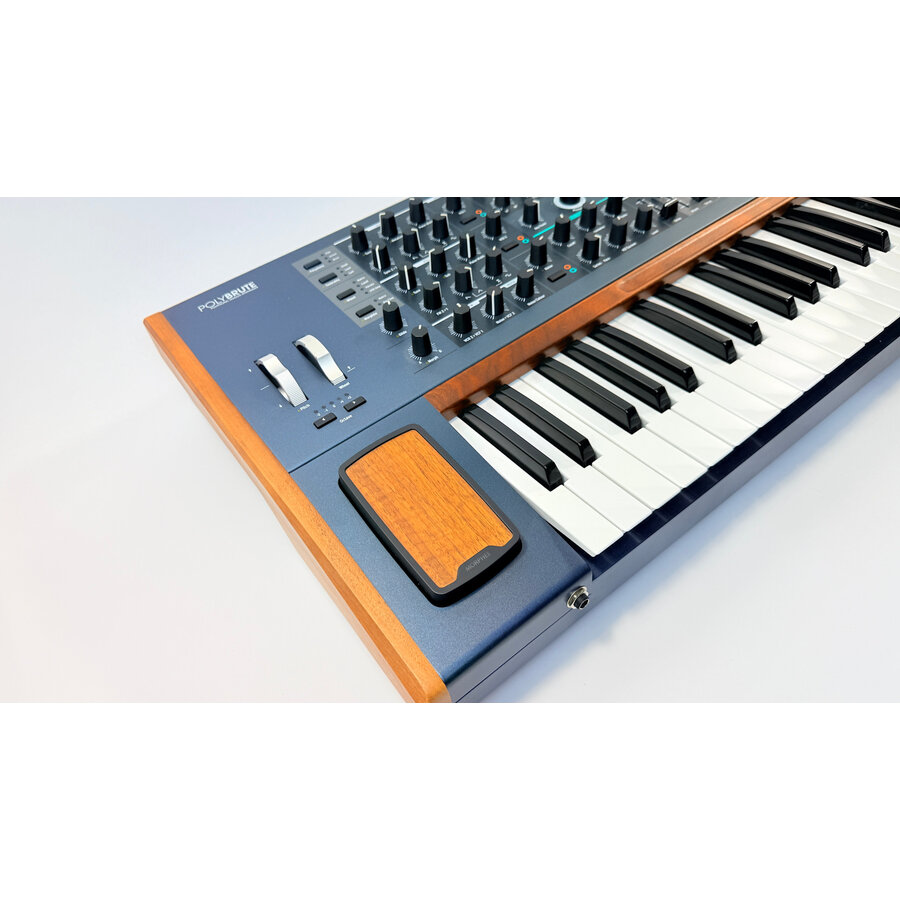 Arturia Polybrute / With flightcase