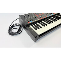 Realistic 1981 Moog MG-1 Concertmate - Modded
