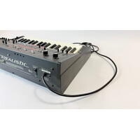 Realistic 1981 Moog MG-1 Concertmate - Modded