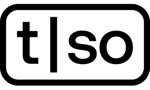 Torso Electronics