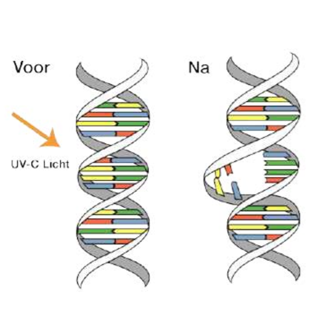 Luchtreiniger Medi 8 met UV-C technologie