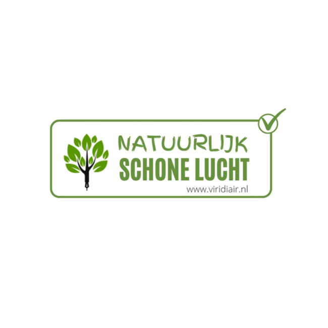 Green XL Vloerreiniger (1 liter), biologisch afbreekbare vloerreiniger voor dagelijks gebruik. Fris, veilig en effectief voor alle soorten vloeren.