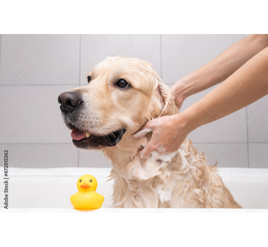 Dog Shampoo 500 ml.