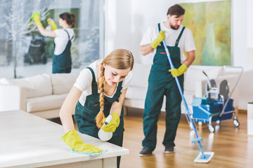 Natuurlijke probiotische reiniging met Green XL – Interieur, vloer en sanitair schoonmaakmiddelen