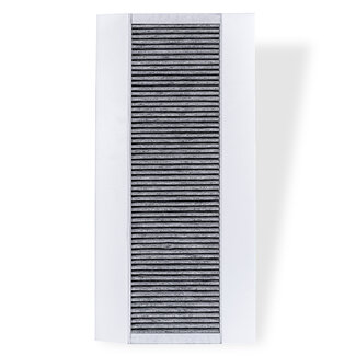 Brink Climate Systems Origineel Brink Flair 300/400 Koolstoffilter 532704