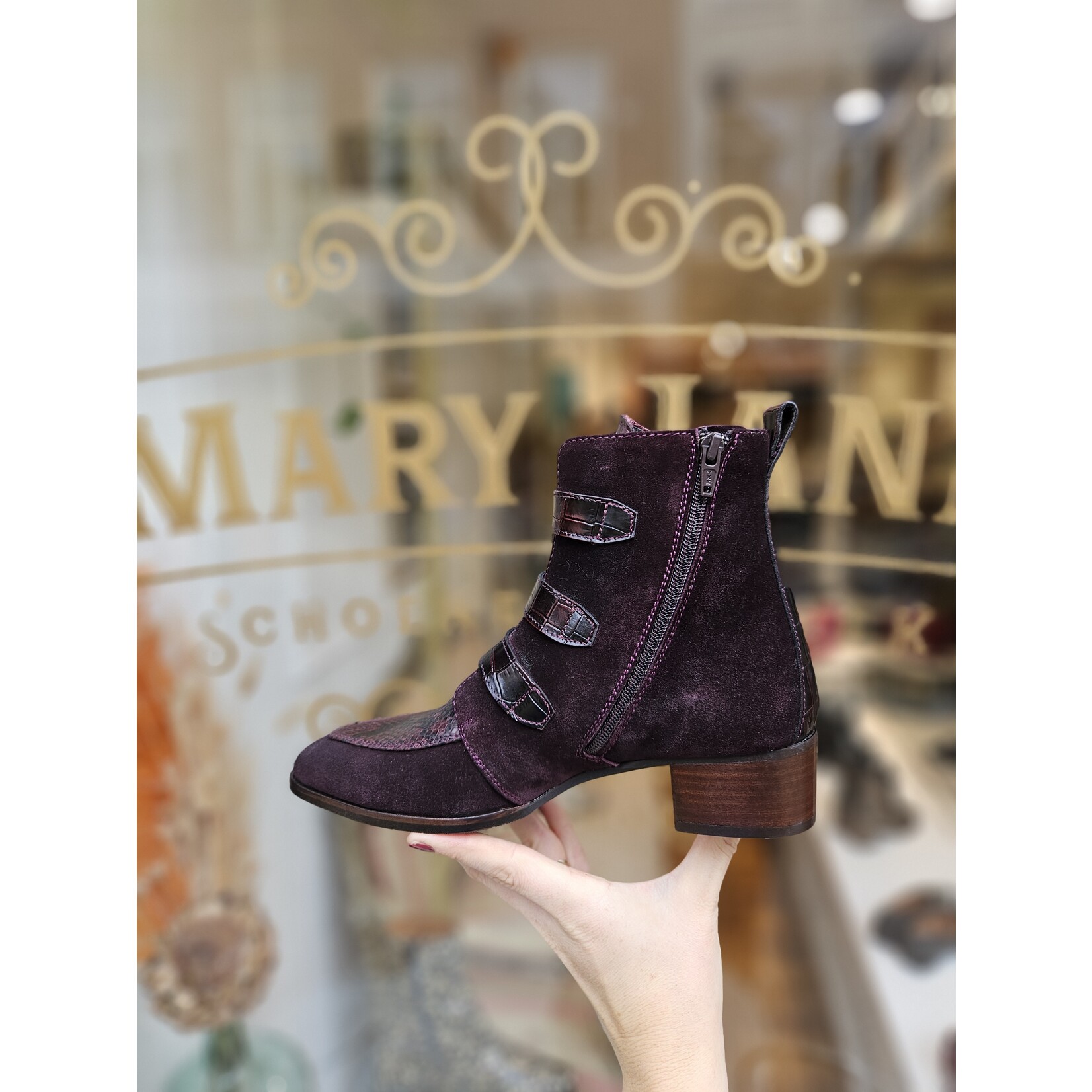 Pertini leren enkelaarsje gespen DAKOTA bordeaux