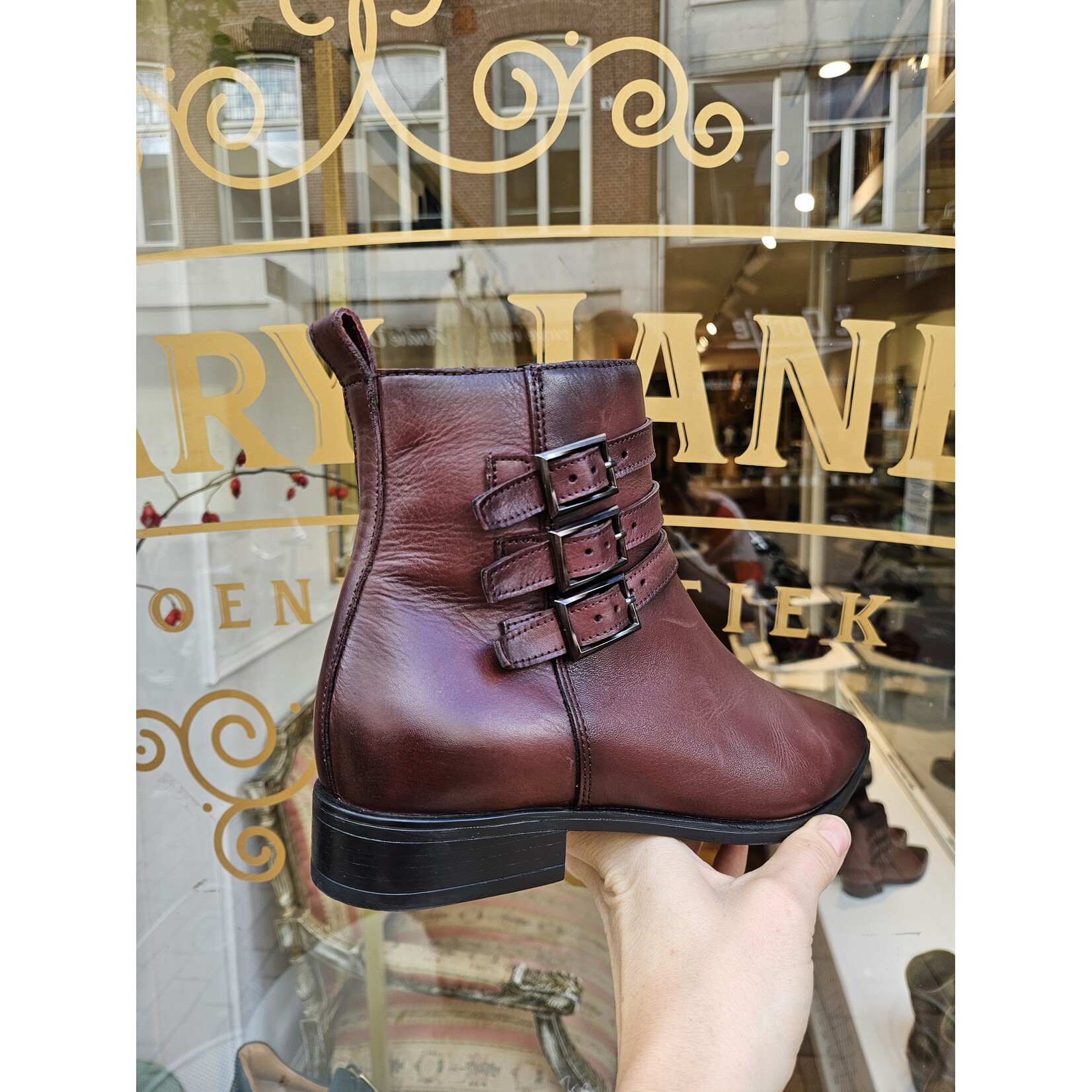MJUS leren enkellaarsjes gesp SUMOS bordeaux/bruin