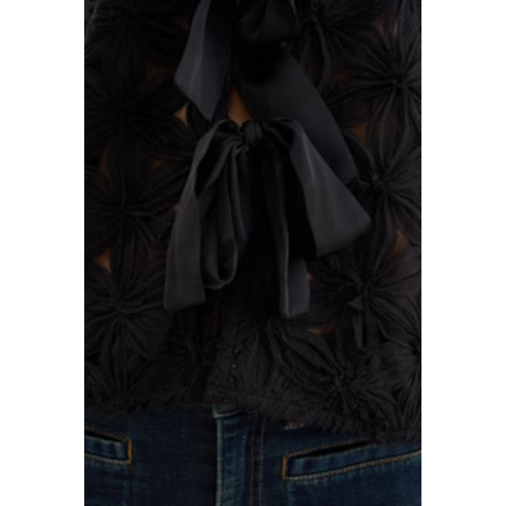 Pieszak Pieszak jasje LEXIE chiffon jacket zwart