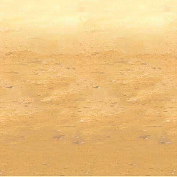 Scenesetter Western Woestijn Zand huismerk kopen in de aanbieding