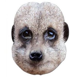 Masker meerkat