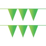 Vlaggenlijn lichtgroen stevig plastic 10 meter