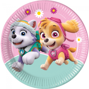 Bordjes Paw Patrol roze groen