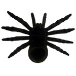 Spin tarantula zwart 16cm