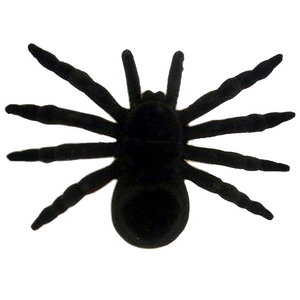 Spin tarantula zwart 16cm Op is Op