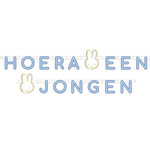 Letterslinger Nijntje Hoera een jongen