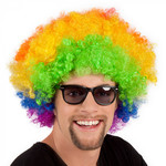 Pruik afro of clown gekleurd luxe Op is Op
