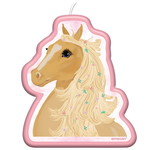 Kaars paard beautiful horse Op is Op