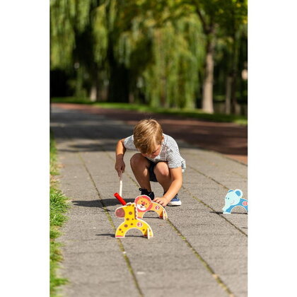 Buitenspeelgoed Croquet