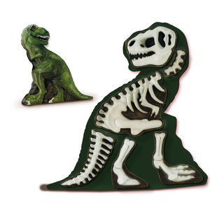Gieten en schilderen - T-rex met skelet Op is Op