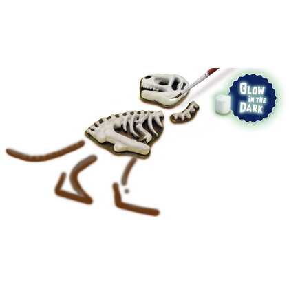 Gieten en schilderen - T-rex met skelet