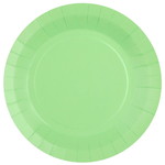 Bordjes pastel lichtgroen 10 stuks Op is Op