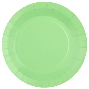 Bordjes pastel lichtgroen 10 stuks Op is Op