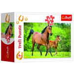 Mini Puzzel paard en veulen 54 stukjes Op is Op