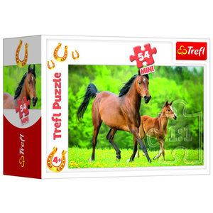 Mini Puzzel paard en veulen 54 stukjes Op is Op