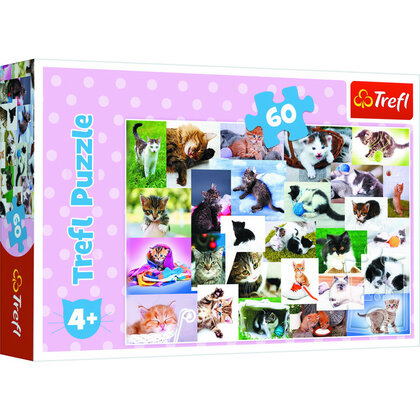 Puzzel katten 60 stukjes