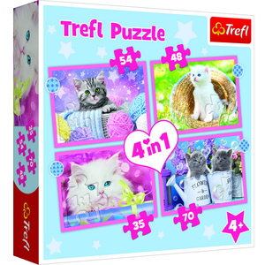 Puzzels katten 4 in 1 luxe doos