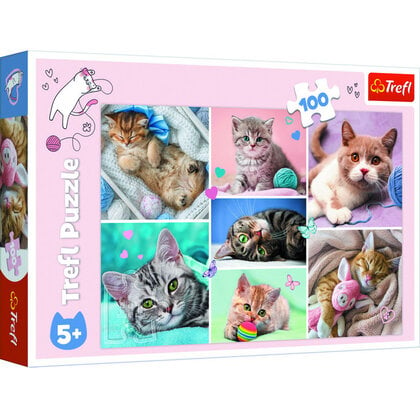 Puzzel katten 100 stukjes