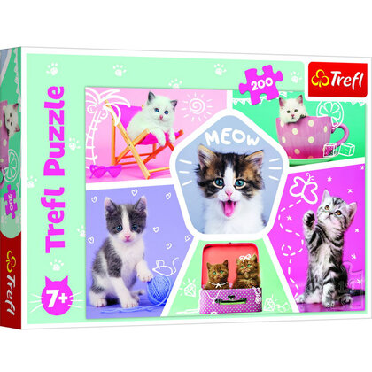 Puzzel katten 200 stukjes